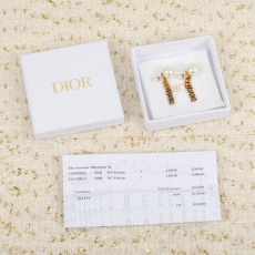 Christian Dior Earrings